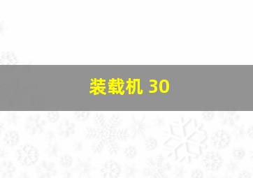 装载机 30